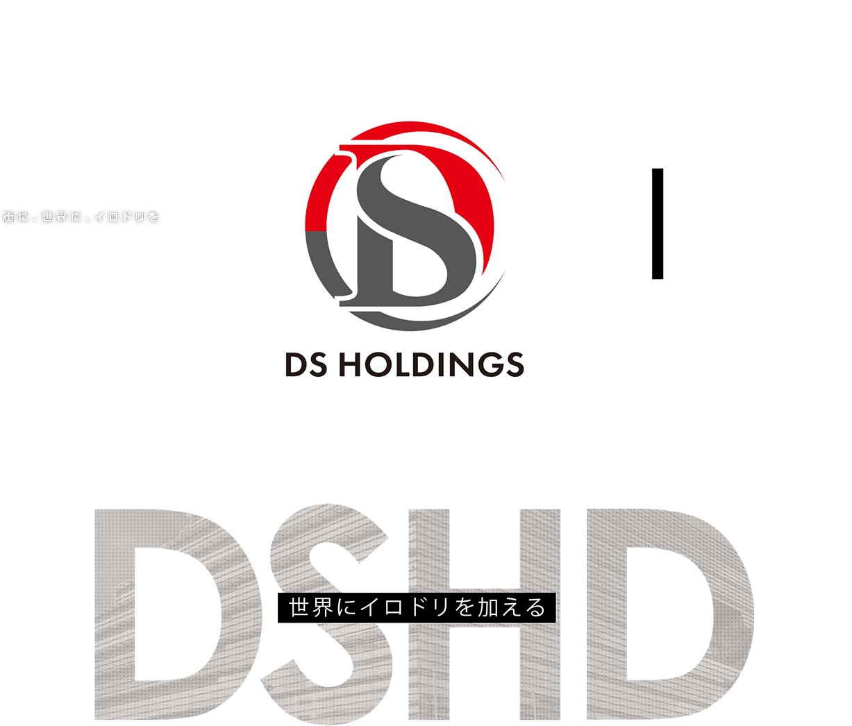 DSホールディングス
